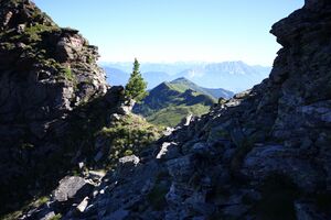 Spateck 94990 2015-07-11.jpg