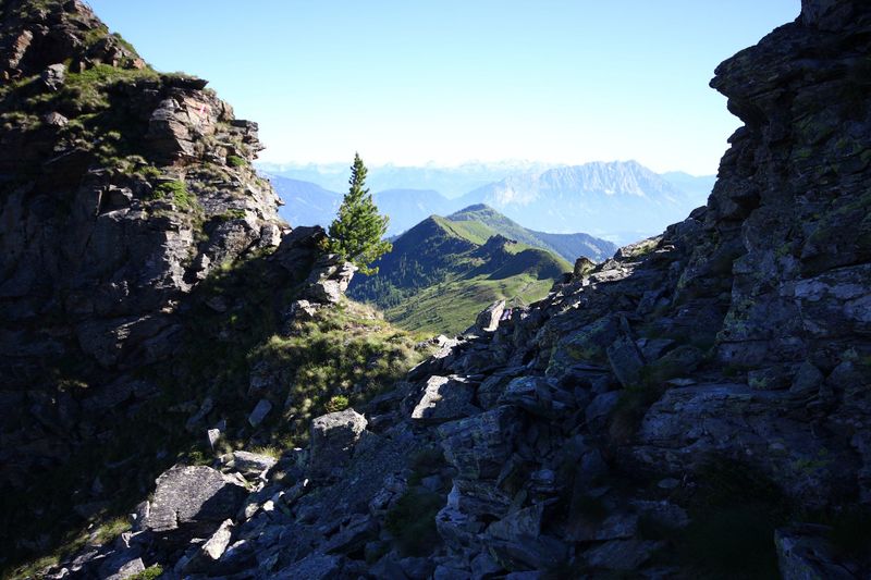 Datei:Spateck 94990 2015-07-11.jpg