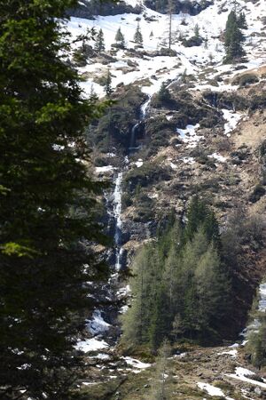 Strickerkar 55633 2014-05-02.jpg