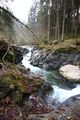 Strubschlucht 34624 2014-01-20.jpg