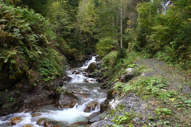 Datei:Teufelsschlucht Seewigtal 73325 2014-10-02.jpg
