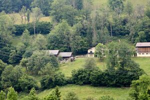 Vlg. oberzelzer döllach-0276-2023-06-19.jpg