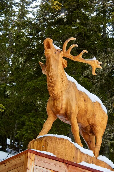 Datei:Waldwegerl planai-0054-2023-05-19.jpg