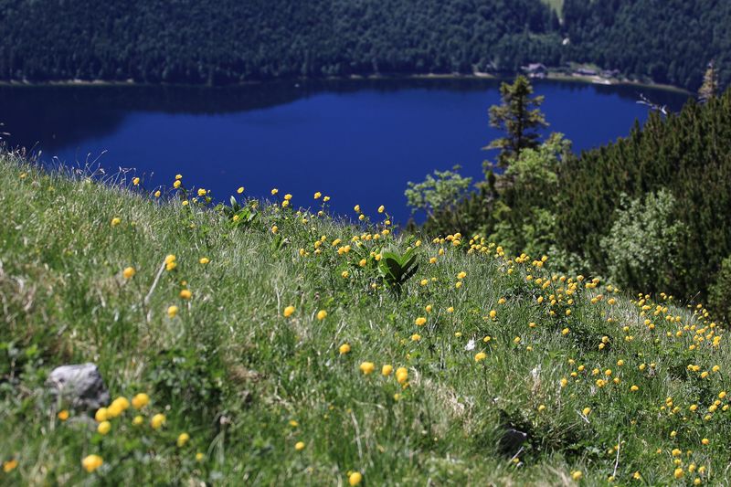 Datei:Altausseersee -graskogel 50752 2017-06-11.jpg