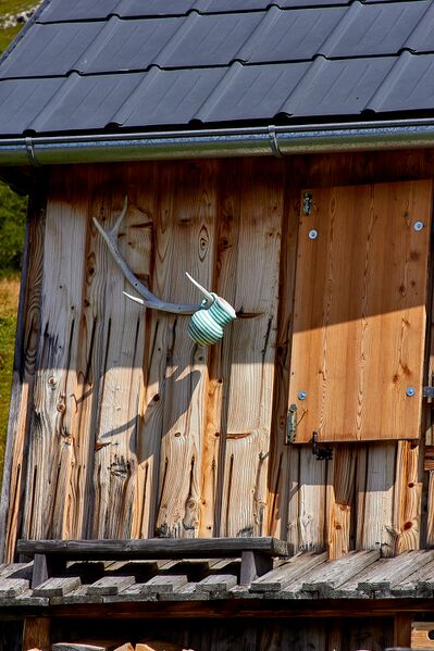 Datei:Bärenfeichtenalm-3118-2021-08-03.jpg
