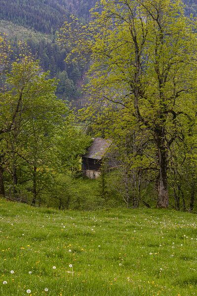 Datei:BH wolfbauer johnsbach-2004-2020-05-18-2.jpg
