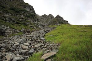 Breberz keinprecht 56135 2017-08-22.jpg