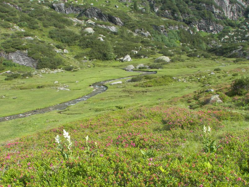 Datei:Giglach 2089 2006-07-10.jpg