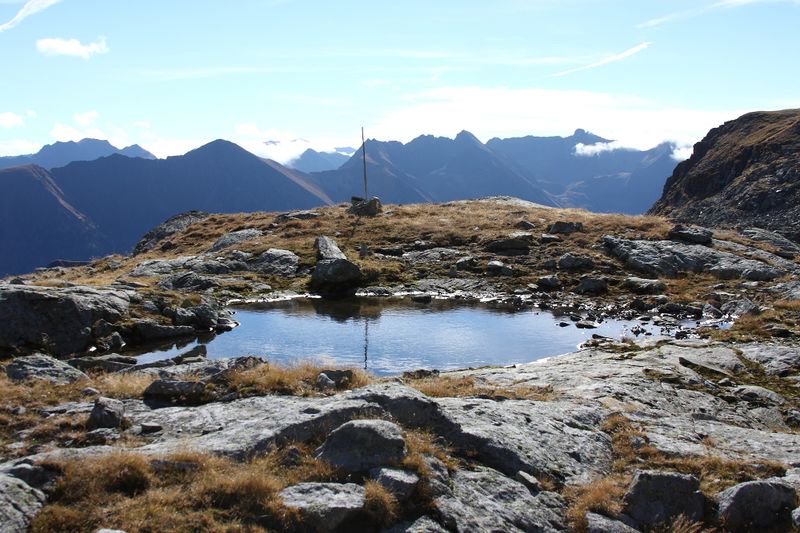 Datei:Goldlacken 0358 2013-10-08.jpg