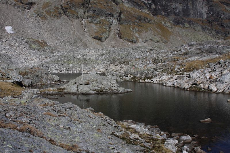 Datei:Goldlacken 0375 2013-10-08.jpg