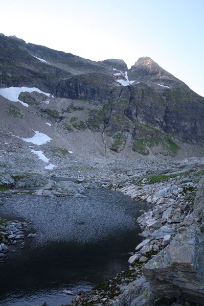 Datei:Goldlacken 0415 2008-08-12.jpg