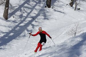 Hubsi-Lauf 2015-418071 n.jpg