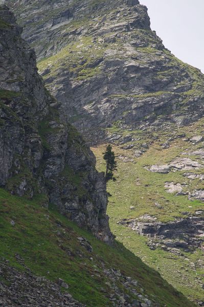 Datei:Im wildkar 23592 2008-06-26.jpg