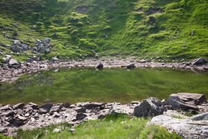 Krottenseen 1690 13-08-05.jpg