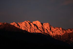 Luser 3505 2013-11-22.jpg