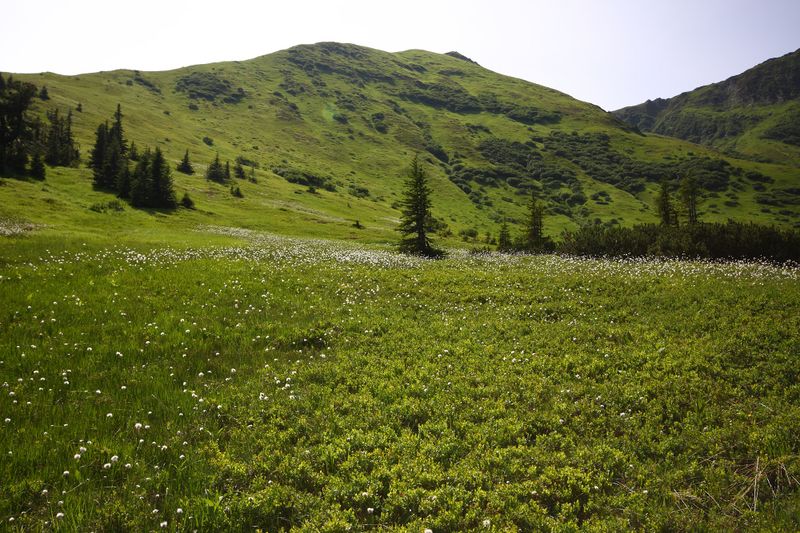 Datei:Mößnakar 0865 13-07-12.jpg