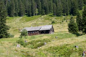 Mesneralm rottenmann-0237-2025-07-05.jpg