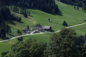 Rodler seewigtal-1000-2012-07-31.jpg