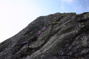 Sabinkar 89998 2015-06-08.jpg