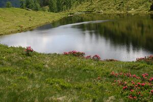 Schobersee 93230 2015-06-26.jpg