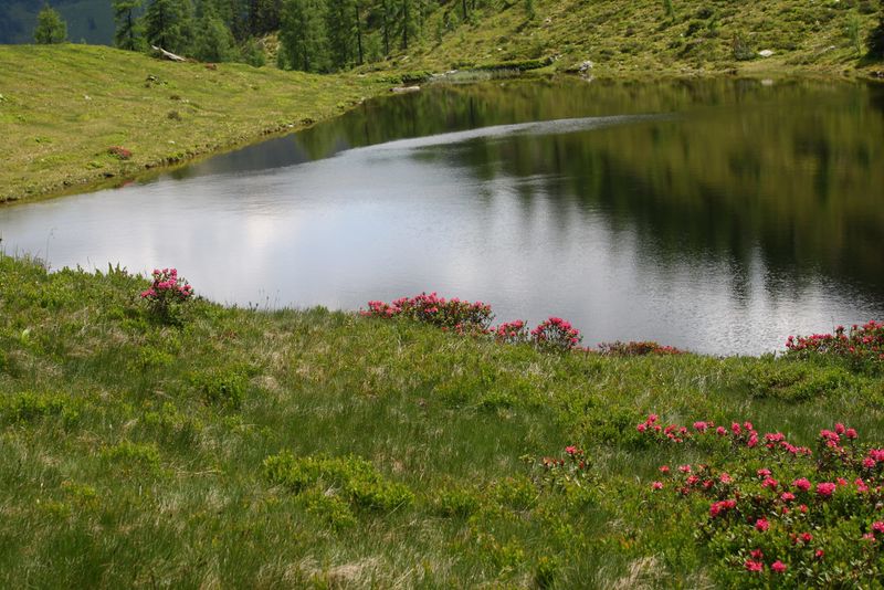 Datei:Schobersee 93230 2015-06-26.jpg