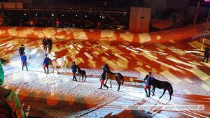 Ski WM 2013 Schladming Eroeffnung 041.jpg