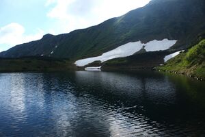 Untere riednersee 65403 2014-06-26.jpg