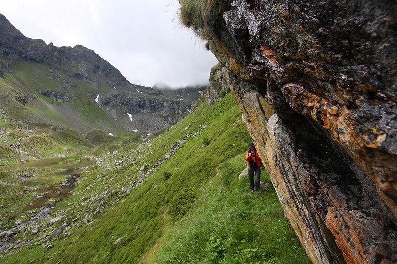 Datei:Wildkar 2246 2009-07-25.jpg