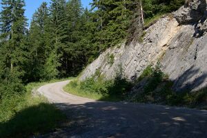 ÖBF Sattelstraße Krippau-0069-2025-06-24.jpg