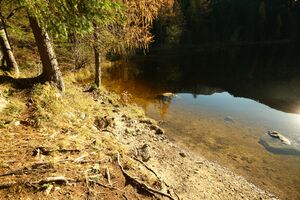 Ödensee 77946 2014-11-03.jpg