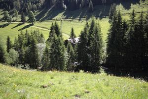 Baumschlagalm gumpental 49668 2017-06-09.jpg