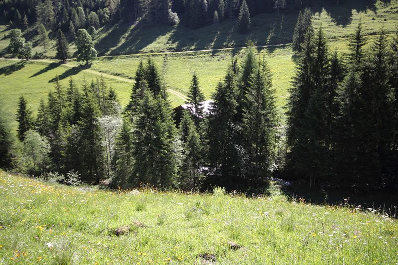 Datei:Baumschlagalm gumpental 49668 2017-06-09.jpg