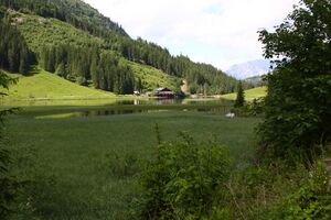Bodensee seewigtal 63506 2014-06-21.jpg