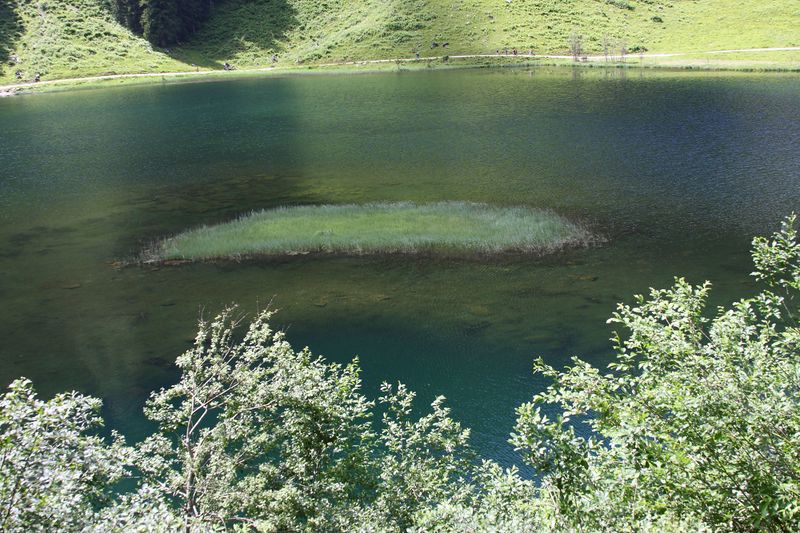 Datei:Bodensee seewigtal 63530 2014-06-21.jpg