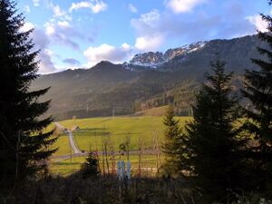 Buchauer Sattel90371.JPG