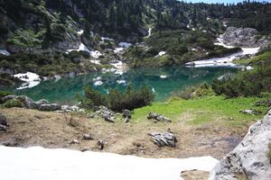 Dreibrüdersee 77414 2018-06-04.jpg