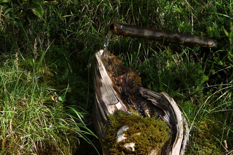 Datei:Feistererbach ramsau 70787 2014-09-09.jpg