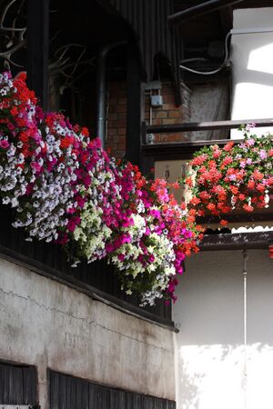 Feldlhof-ramsau 2036 13-09-22.jpg