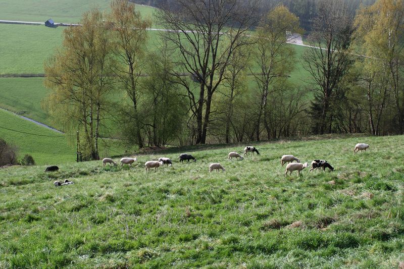 Datei:Gröbming einöd 20984 2016-04-15.jpg