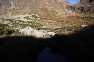 Grünsee-großsölk 1163 2013-09-25.jpg