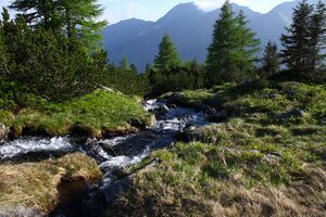 Höllbach-vom sabinkar 89971 2015-06-08.jpg