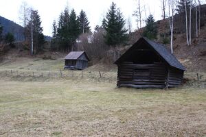 Heuhütte bei gatschberg 34764 2014-01-20.jpg