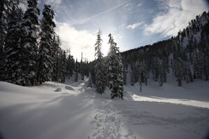 Hochwiesmahd 2013-01-09 4397.jpg