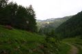 Katschtal 92592 2015-06-18.jpg