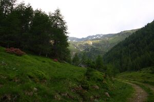 Katschtal 92592 2015-06-18.jpg