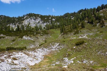 Kessel plankenalm-1001-2022-06-12.jpg