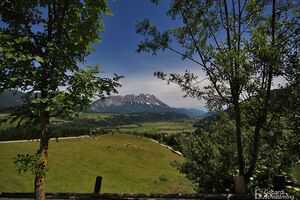 Ladreiter vlg bauer0006.jpg