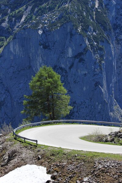 Datei:Loserstraße 51048 2017-06-11.jpg