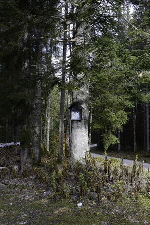 MA franz pucher-0100-2021-10-30.jpg