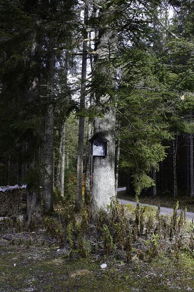 Datei:MA franz pucher-0100-2021-10-30.jpg